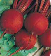 Beetroot